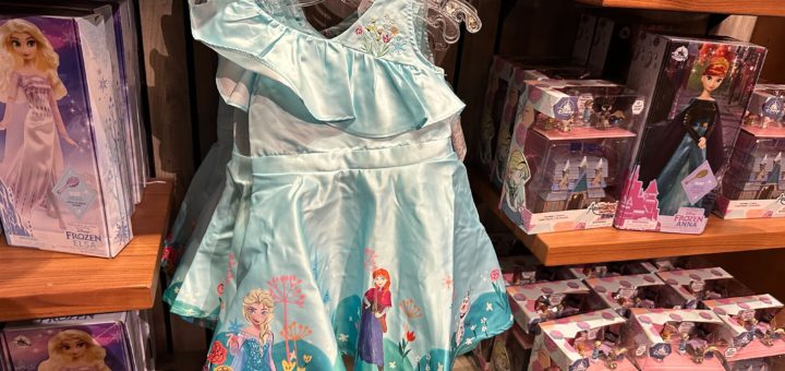 Youth Anna and Elsa dress