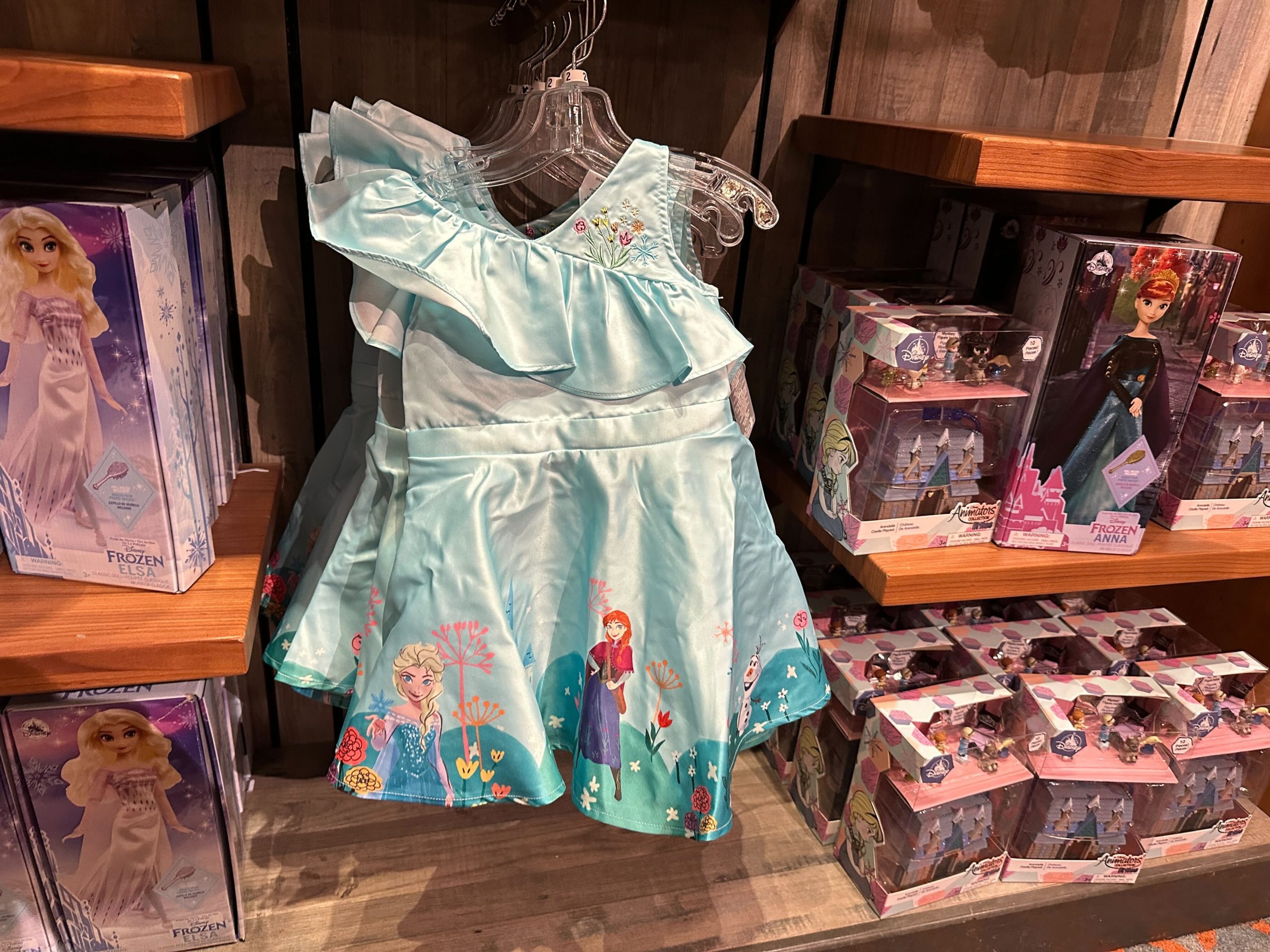 Youth Anna and Elsa dress