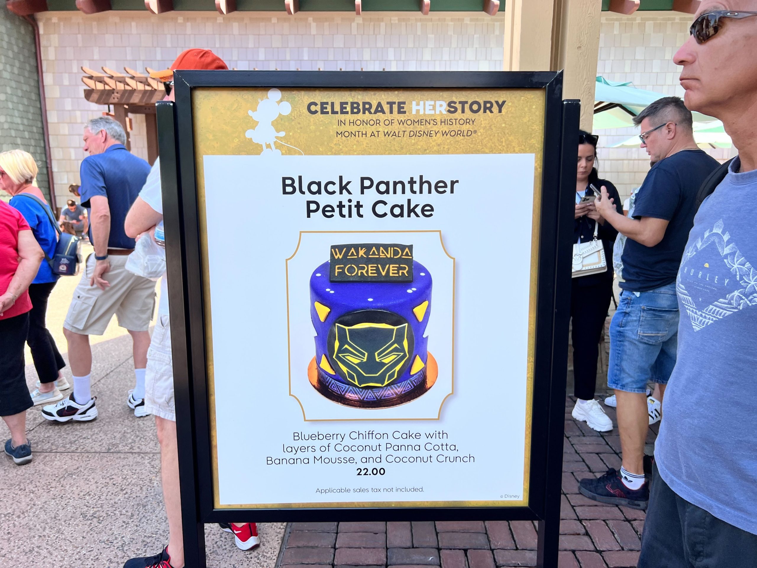 Black Panther HER Story Cake