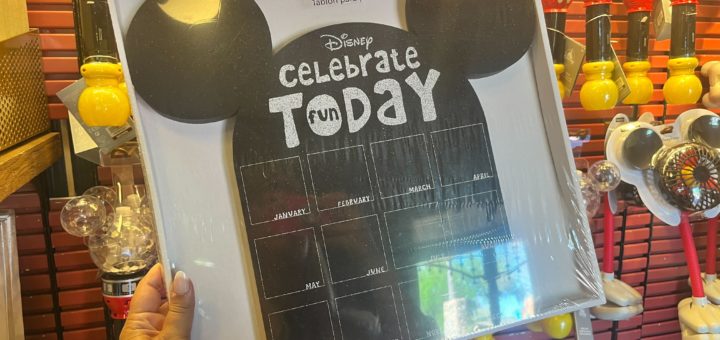 Mickey Pin Board
