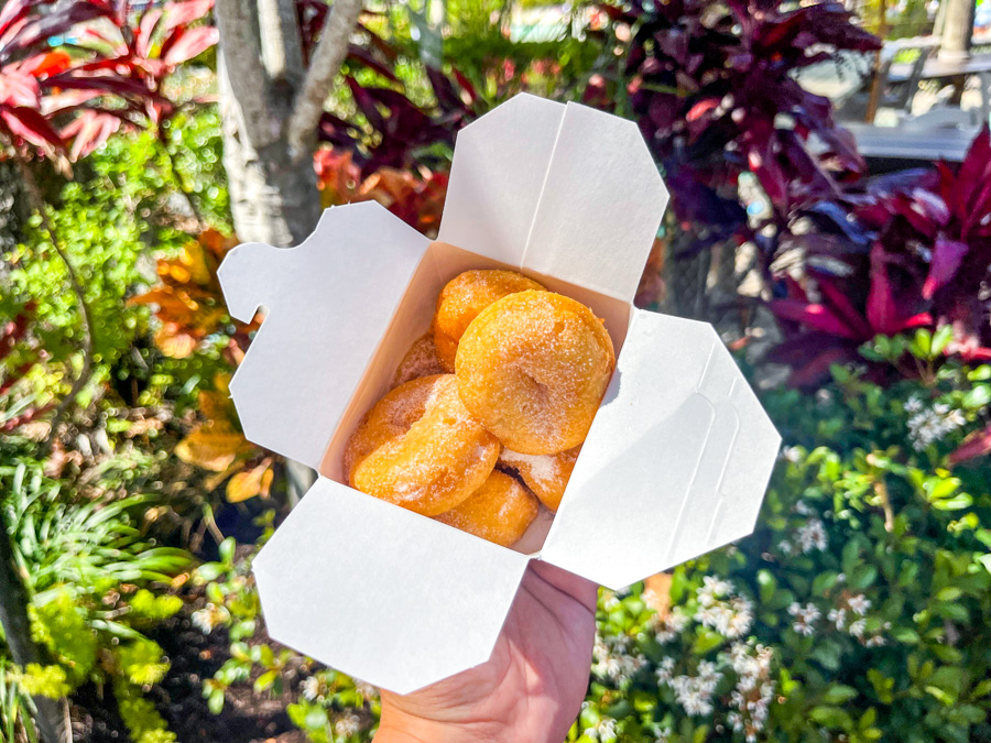 Typhoon Lagoon Water Park Reopening Mini Donut Stand Mini Donuts Frozen Tidal Wave Drink