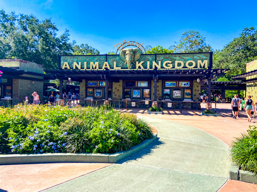 WDW Animal Kingdom Entrance Ticket Booths Stock Sign