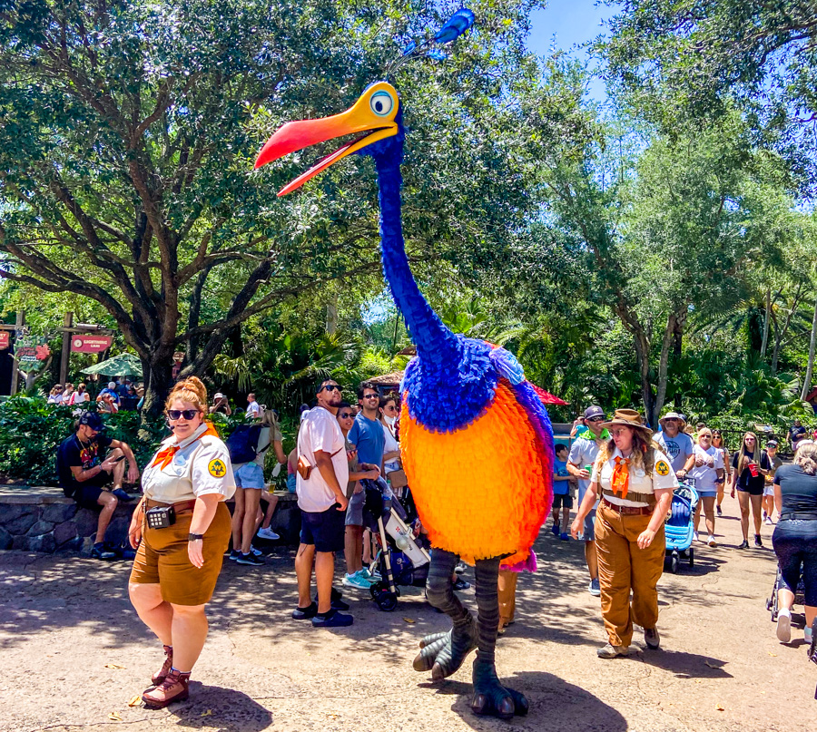 WDW Animal Kingdom Kevin Character Sighting Meet and Greet Up