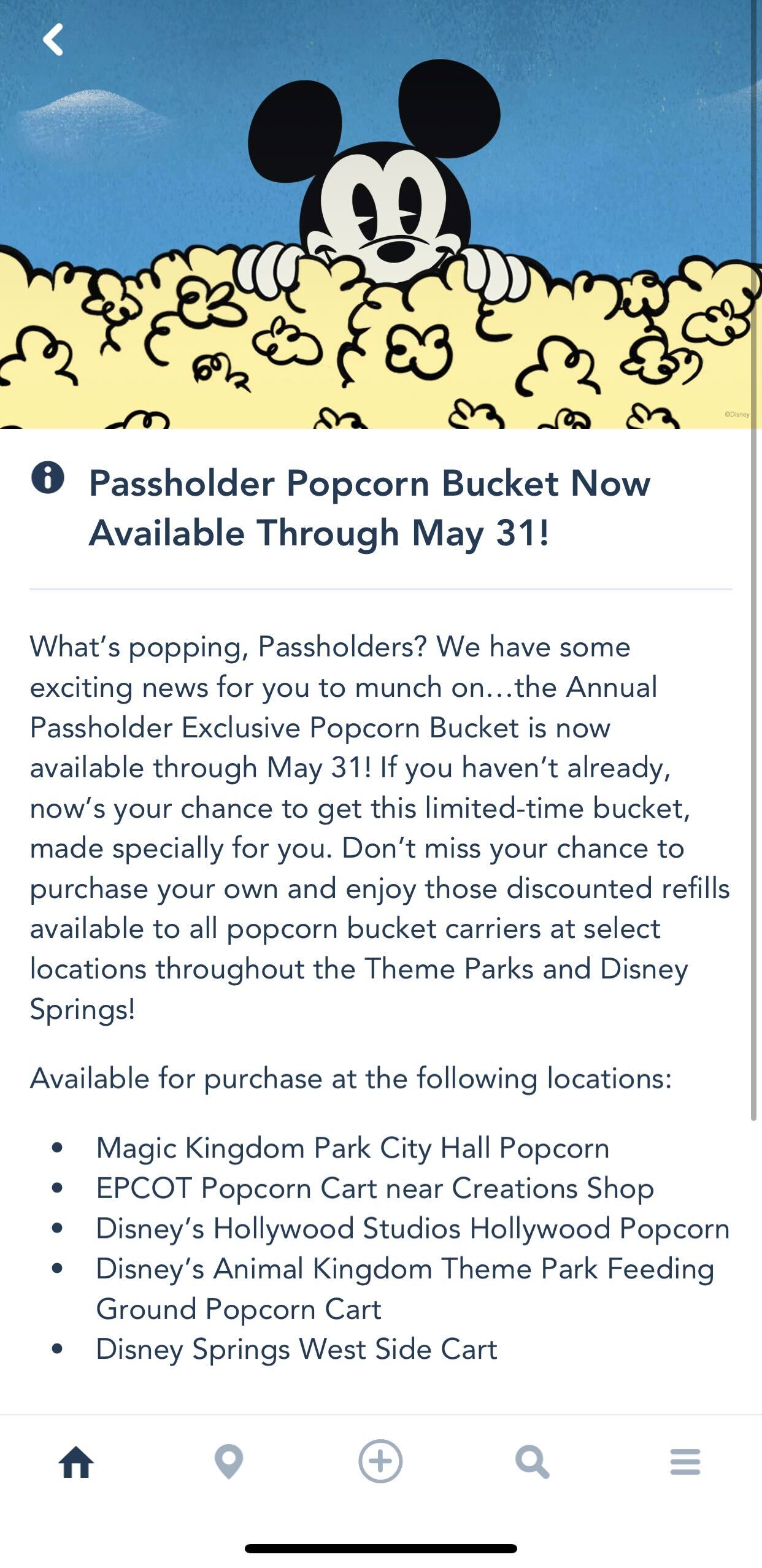 annual passholder popcorn bucket