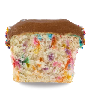 Sprinkles cupcake