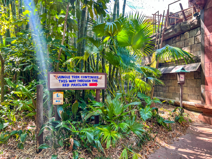 maharajah jungle trek animal kingdom birds return aviary