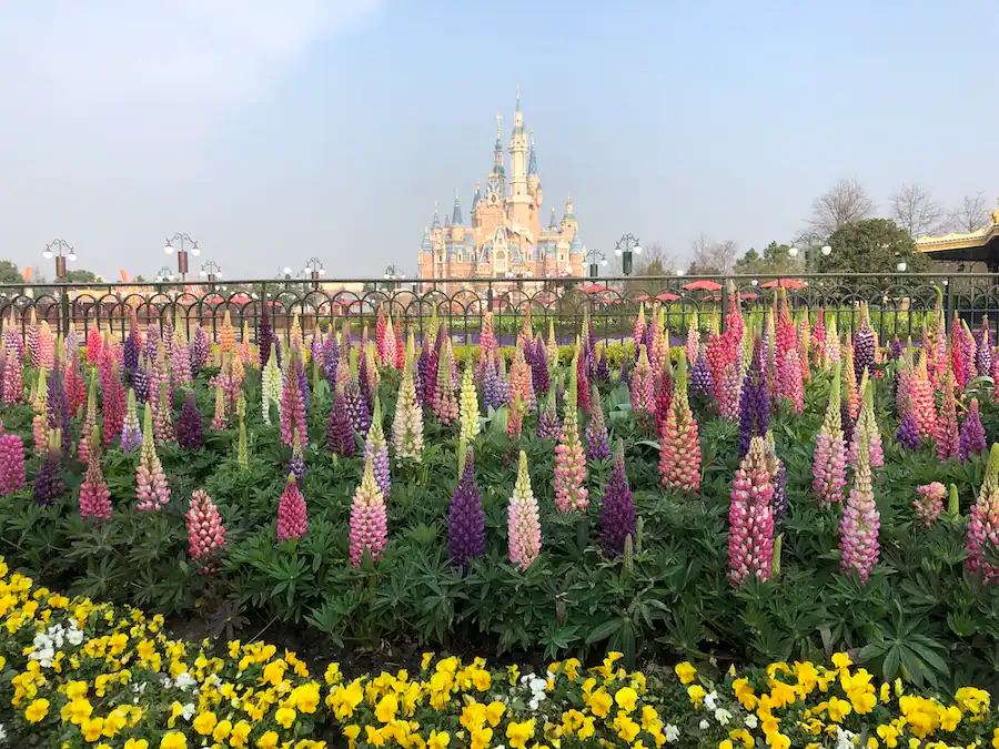 Shanghai Disney Resort Spring