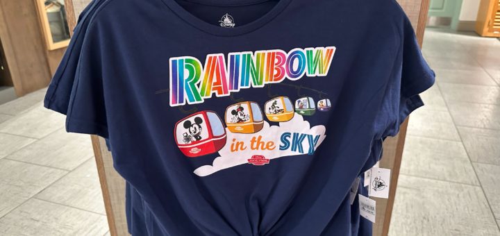 Disney Skyliner rainbow shirt