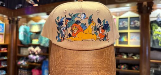Lion King hat