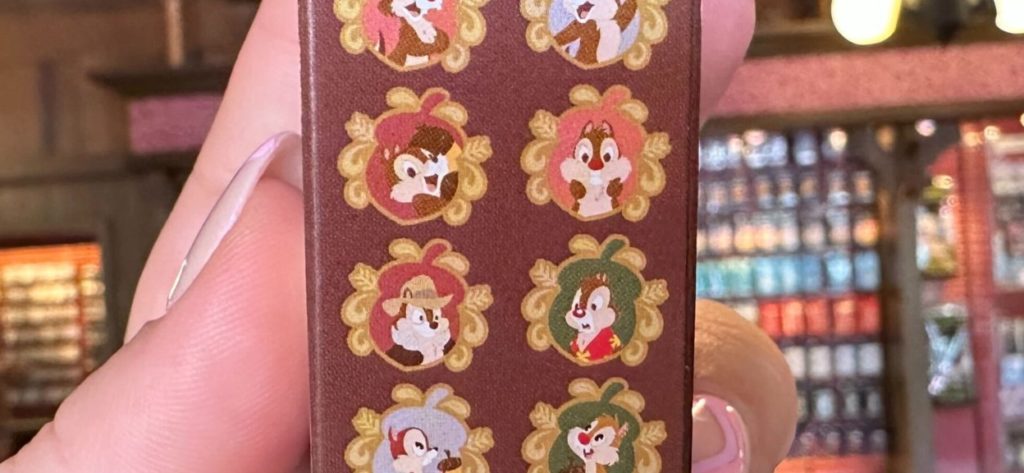 Chip n Dale Mystery Pin set