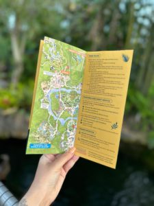First Look: We Have the NEW Animal Kingdom 25th Anniversary Guide Map 