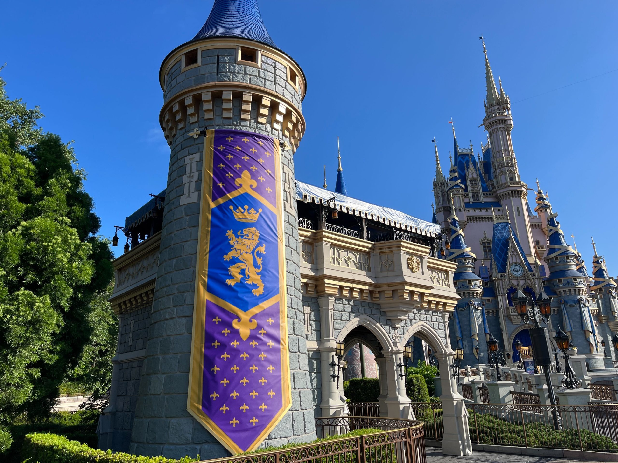 Cinderella Castle Post 50th Banners
