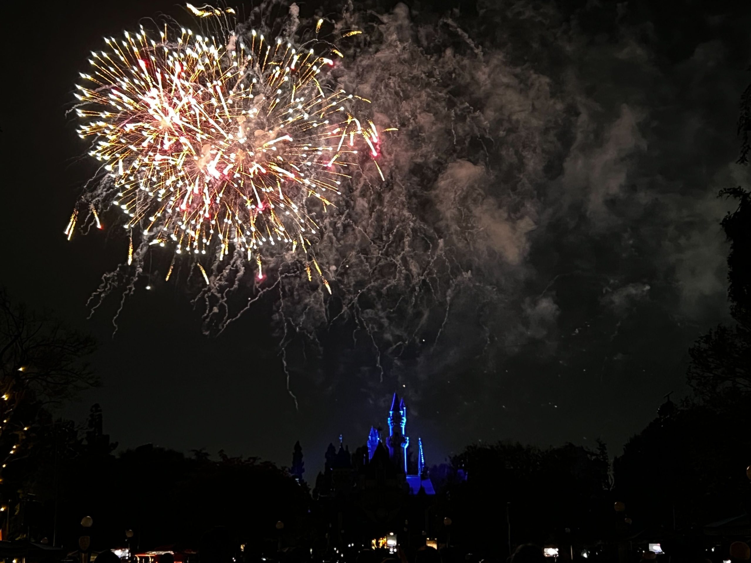 Fantasy in the Sky Fireworks Disneyland After Dark