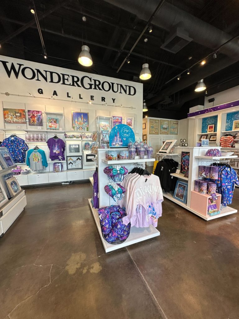 WonderGround Gallery Disney Home Disneyland