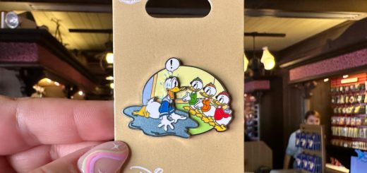 Donald and nephews pin