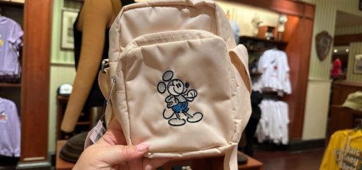 These New Mickey Finds are Perfect For All of Your Adventures!