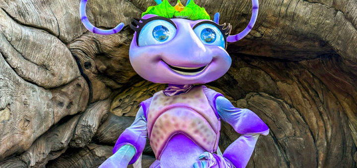 Princess Atta A Bug's Life Earth Month Week Animal Kingdom 25th Annviersary Rare characters meet and greets