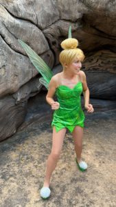 Tinker Bell and Fawn