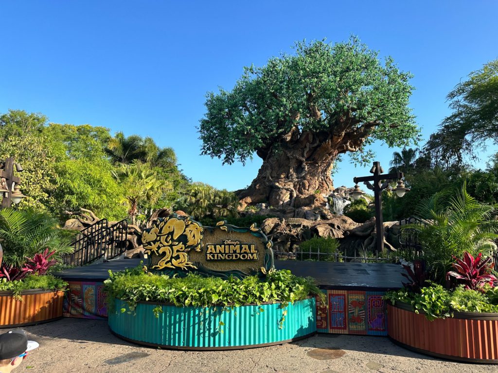 Disney's Animal Kingdom Prepares for Epic 25th Anniversary Celebration