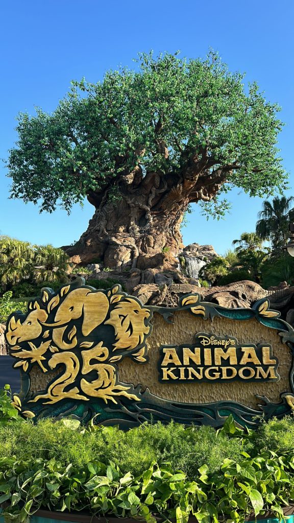 animal kingdom 25th anniversary
