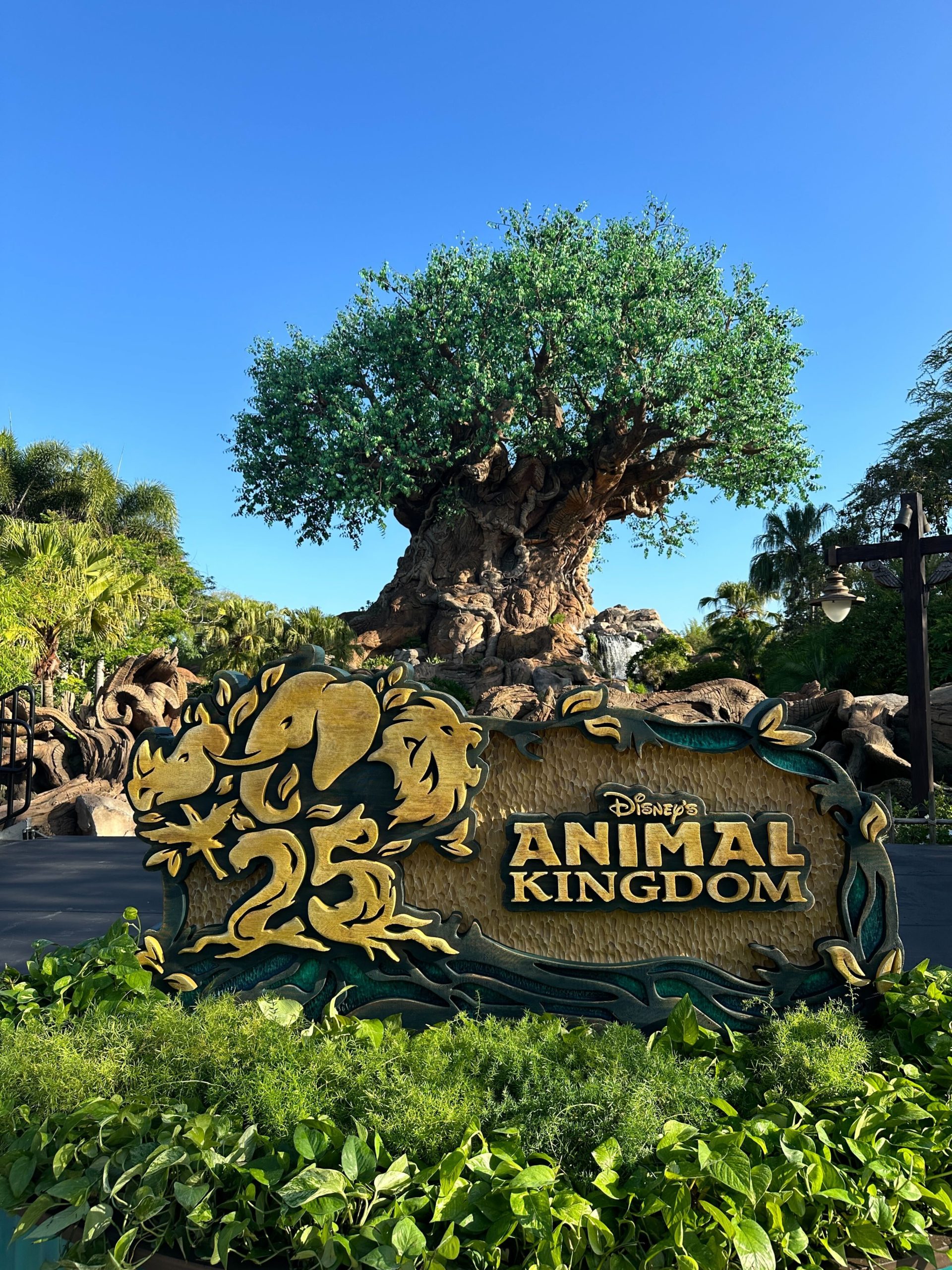 animal kingdom 25th anniversary