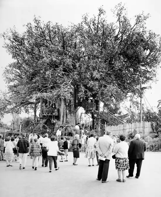 Swiss Family Treehouse Disneyland