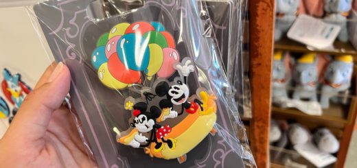 mickey and minnie magnet