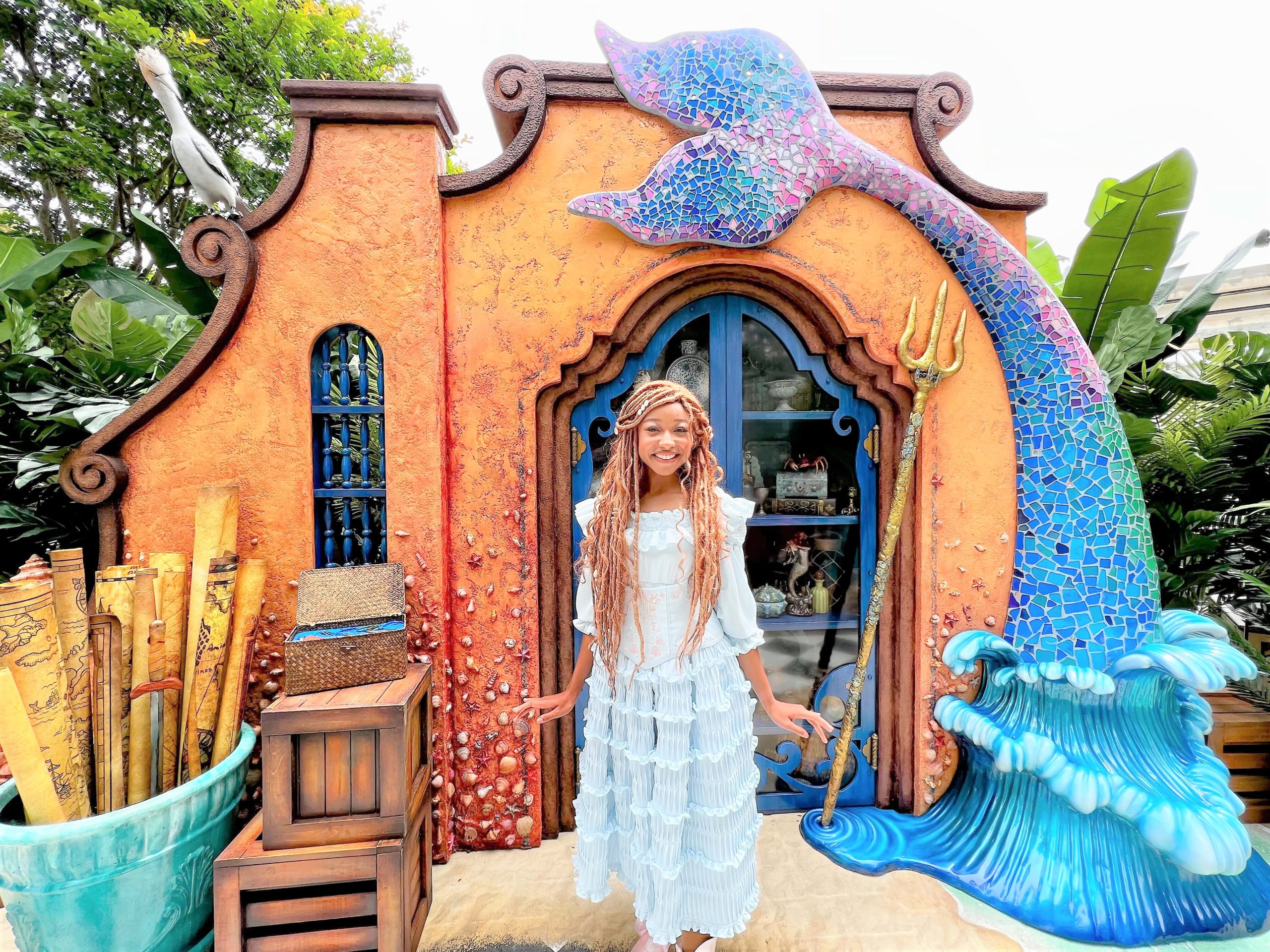 The Little Mermaid Live Action Ariel Disneyland