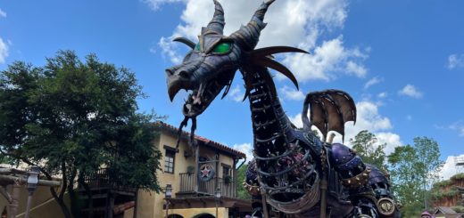 Festival of Fantasy Dragon Back