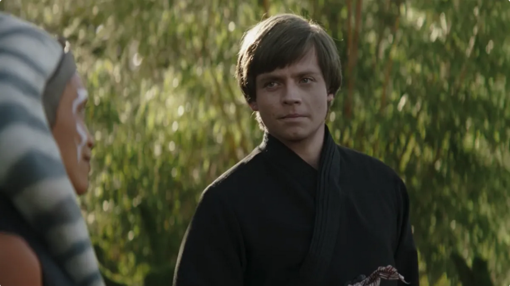 Young Luke Skywalker