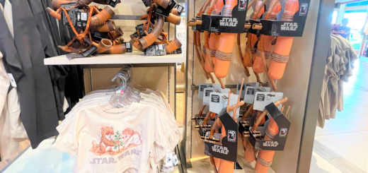 Star Wars Return of the Jedi 40th Anniversary Ewok Kids Merchandise
