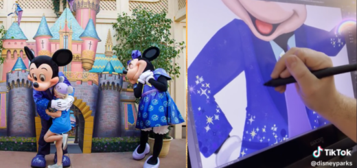 Disney Parks Costume Designer
