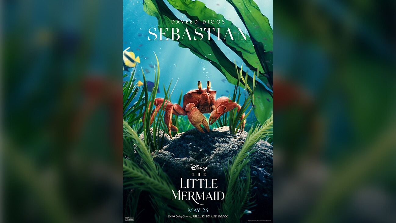 Sebastian is in fact a crab