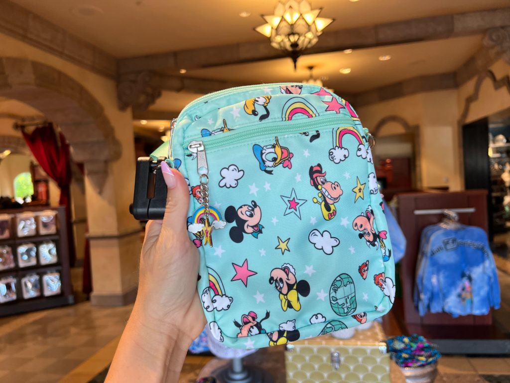 DIsney World Mickey and Friends Pouch