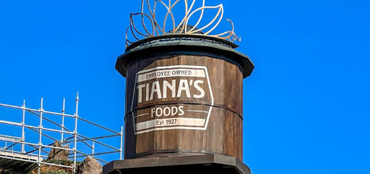Tiana's Bayou Adventure water tower