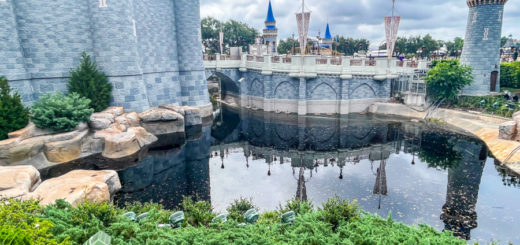 Cinderella Castle Moat Water Returns