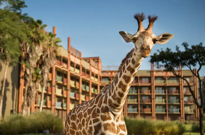 Disney Vacation Club Resorts Best for Families