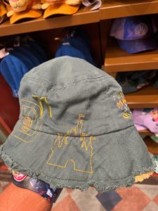 Disney hat