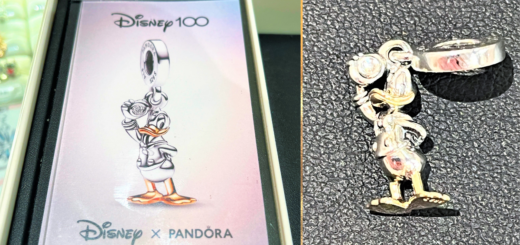 Donald Disney100 Pandora Charm