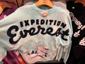 Everest Spirit Jersey