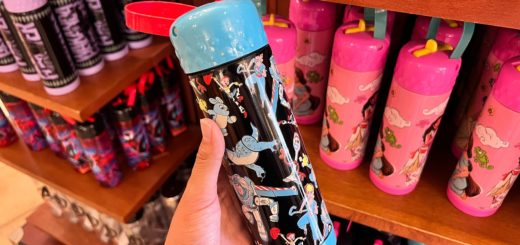 Toy Story water bottle