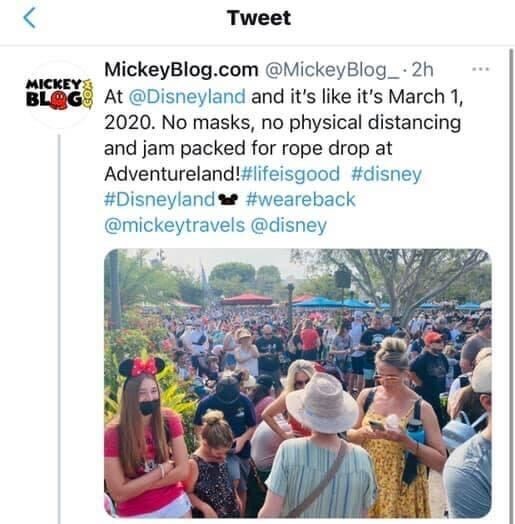Disneyland Reopening June 15, 2021