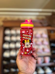 Minnie and Daisy Water Bottle