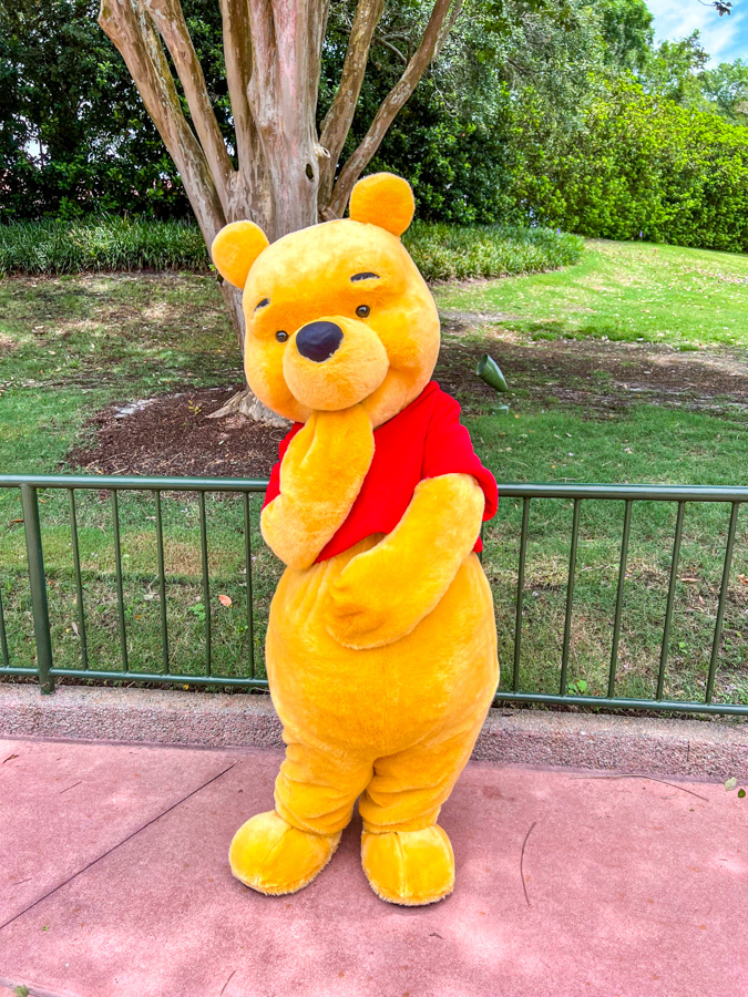 Winnie the Pooh Meet and Greet EPCOT