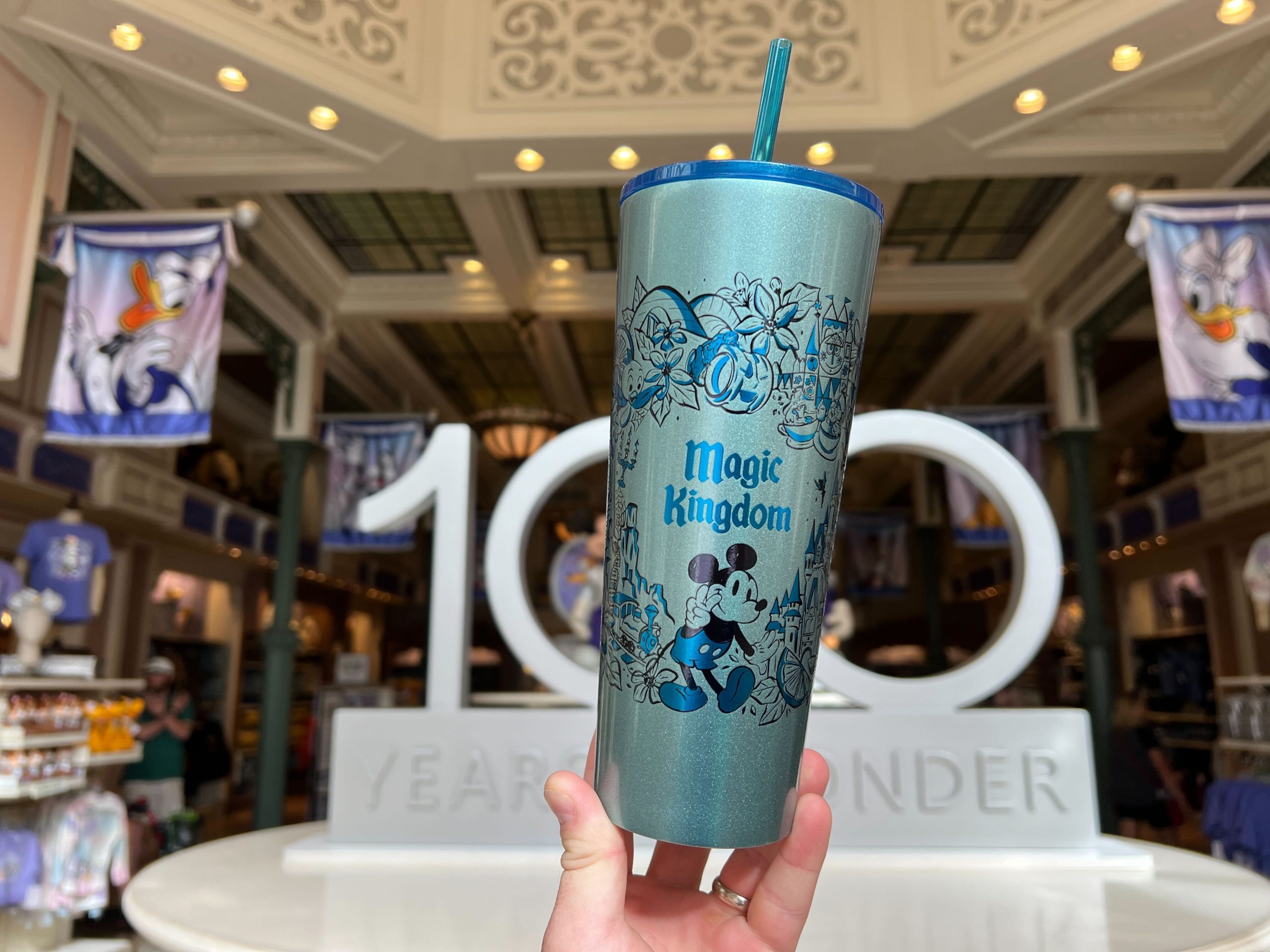 Disney Starbucks Magic Kingdom Icons Metal Tumbler Cup with Straw