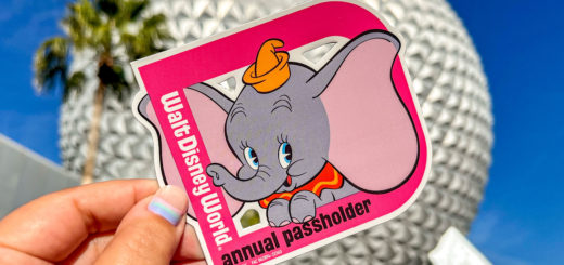 Dumbo Annual Passholder Magnet