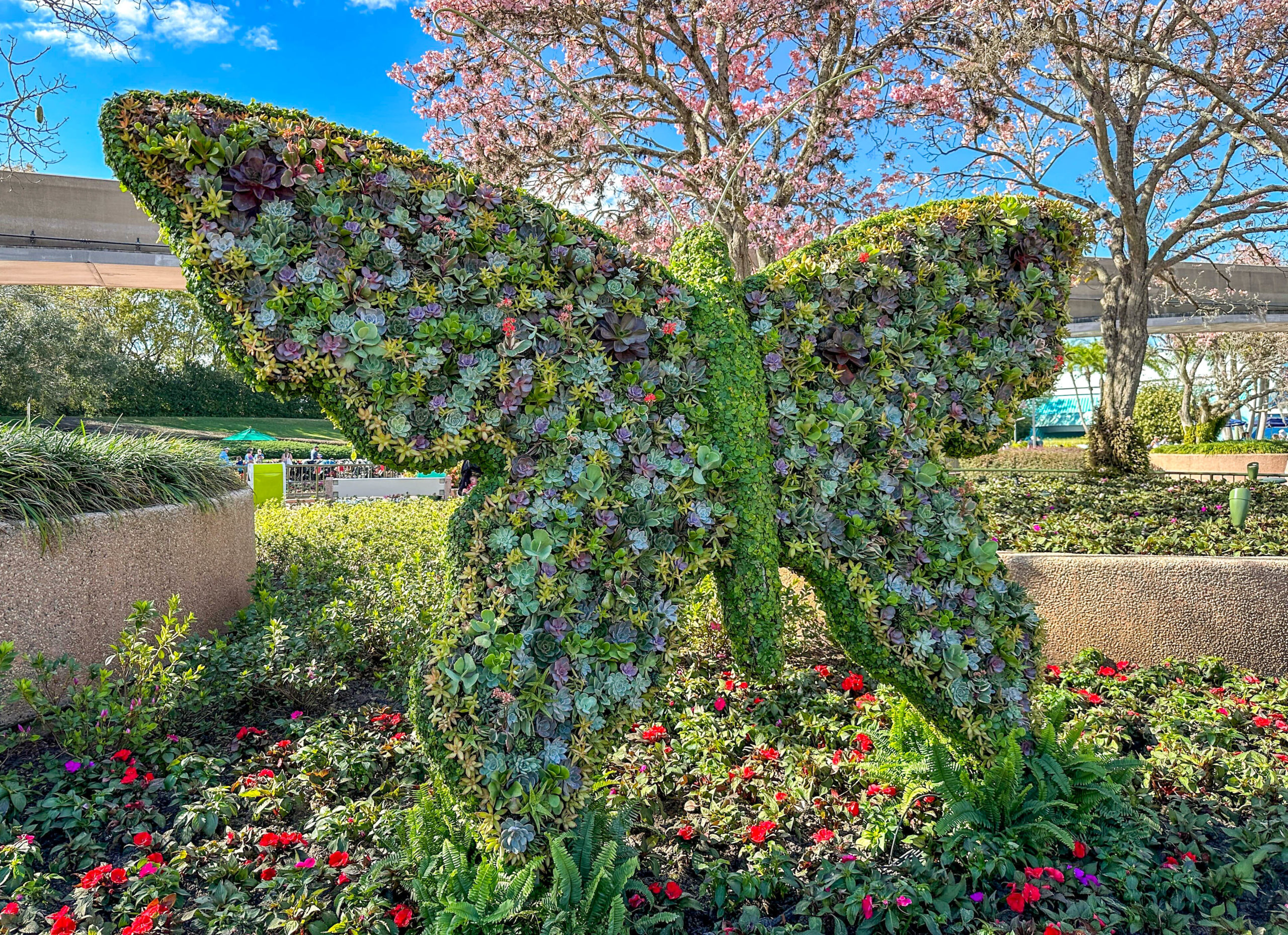 Butterfly Topiary