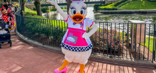 Daisy 2023 EPCOT Food and Wine Festival Chef Outfit Character Meet and Greet