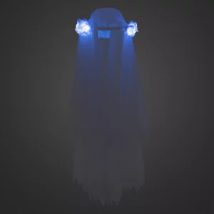 Haunted mansion Veil