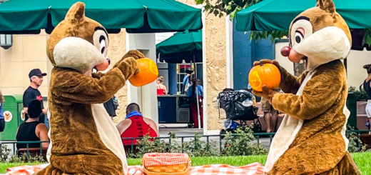 Hollywood Studios Chip n Dale Playing with Pumpkins Fall Halloween
